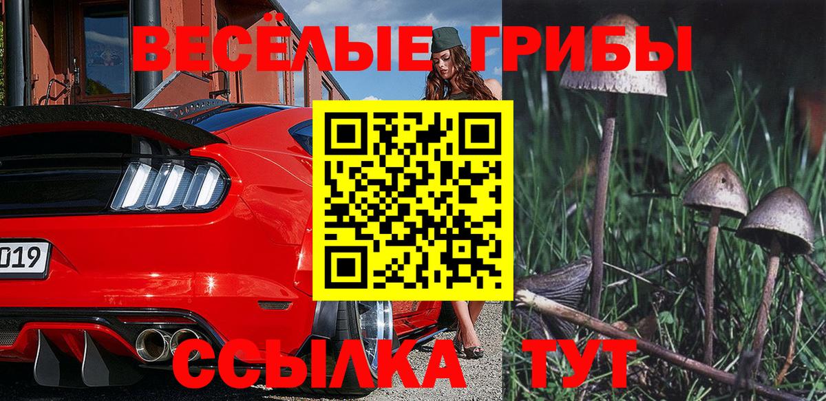 Галлюциногенные грибы MAGIC MUSHROOMS Зеленогорск