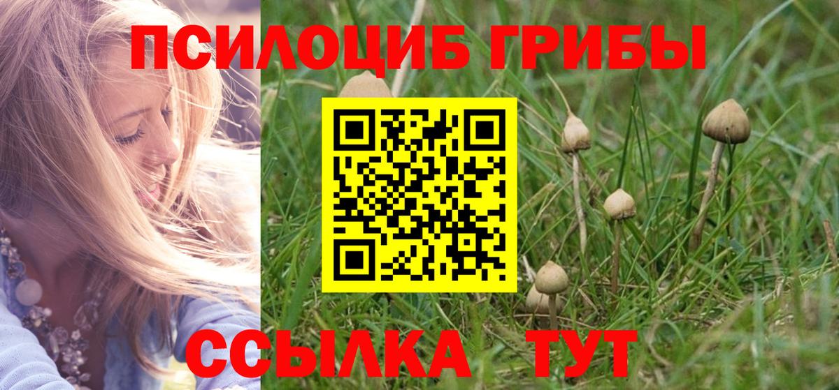 Зеленогорск  Псилоцибиновые грибы Psilocybe  Галлюциногенные грибы MAGIC MUSHROOMS  Вход с VPN 